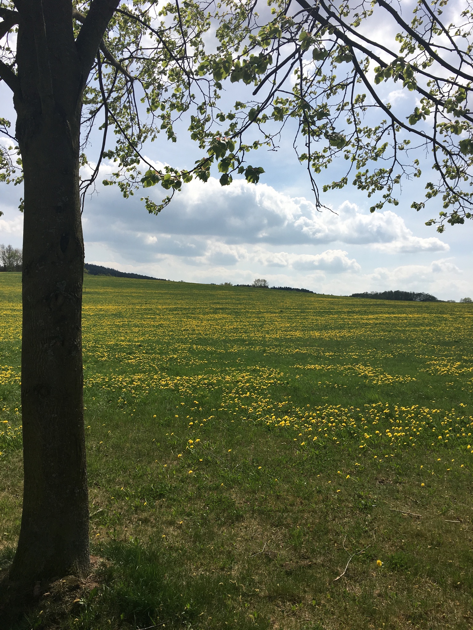 Cesky Krumlov - Ebike Europe