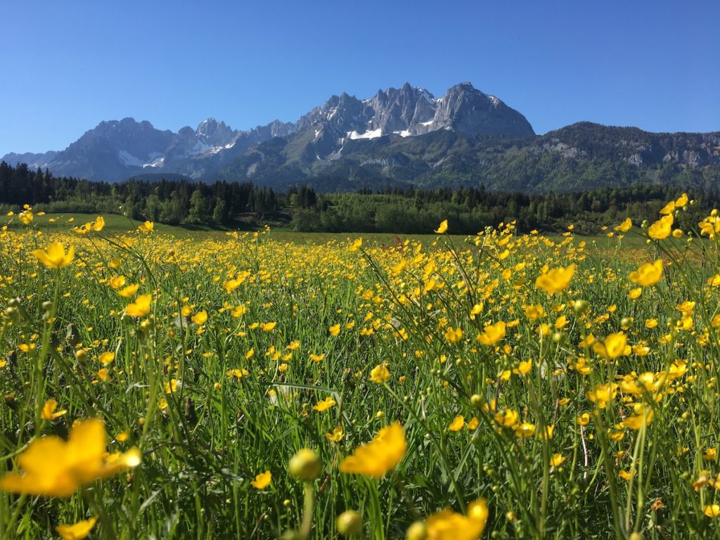 Wilder Kaiser