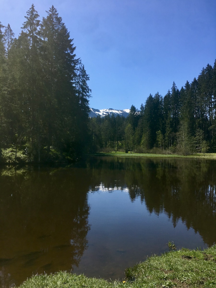 Gieringer Weiher