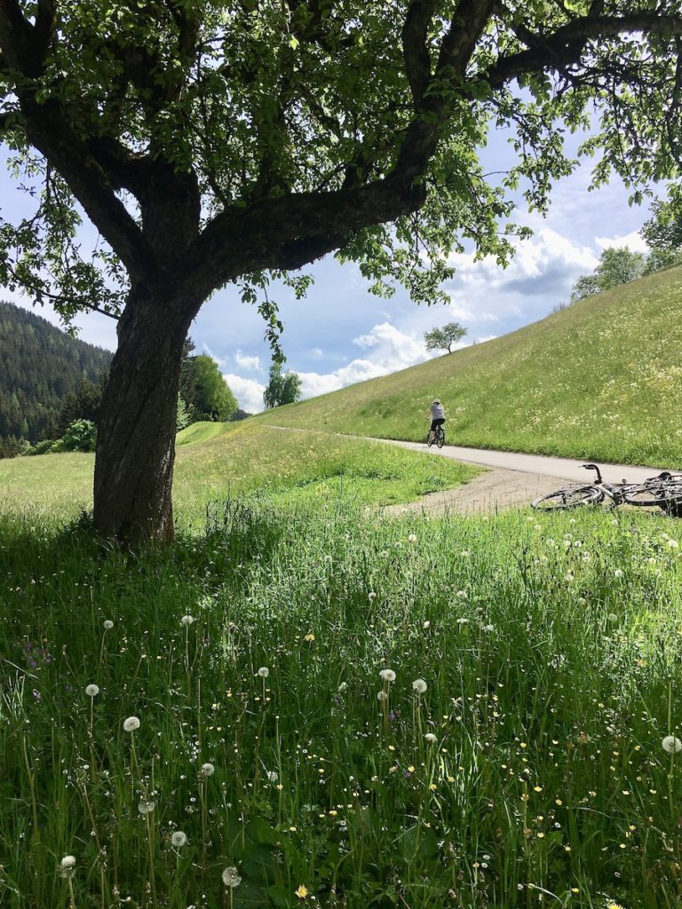 Alpbachtal