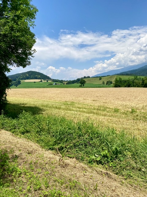 Lavant valley