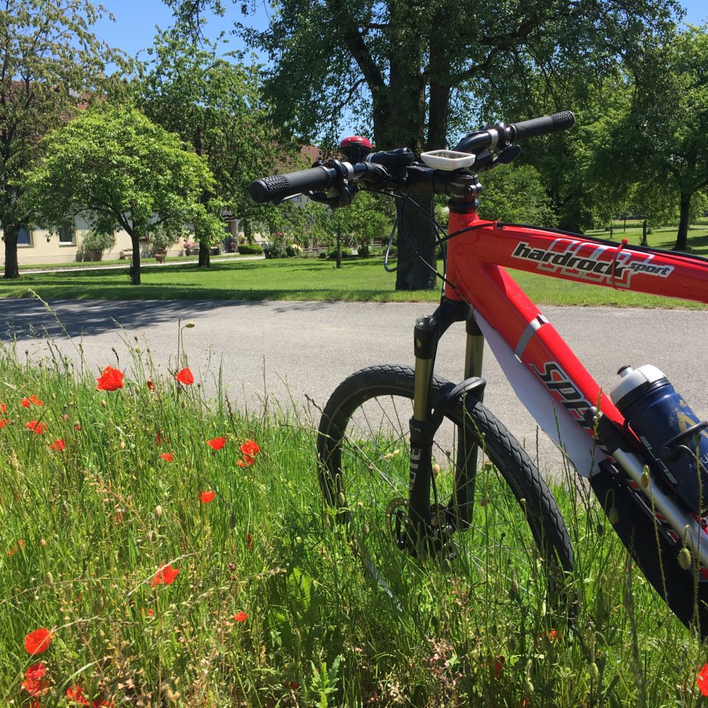 Strawberry & Poppies tour