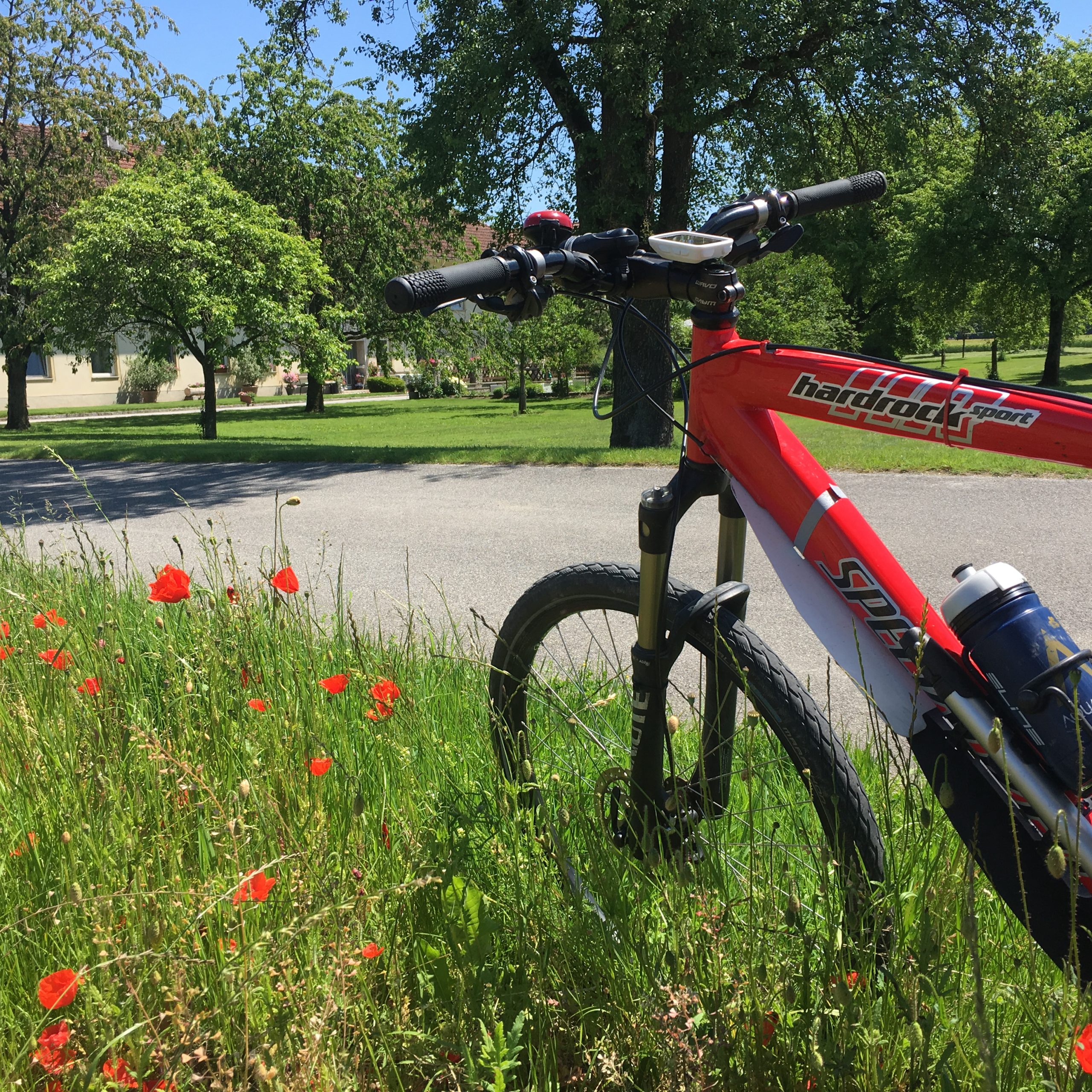 Strawberry & Poppies tour