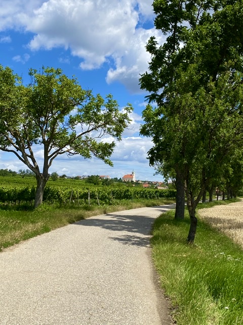 Jois, Neusiedlersee