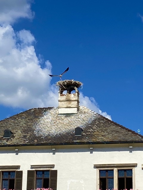 Storks in Rust