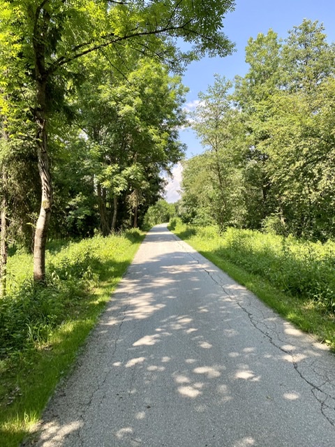Lavant Cycle path
