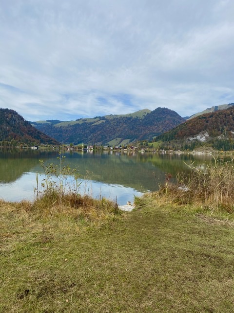 Walchsee