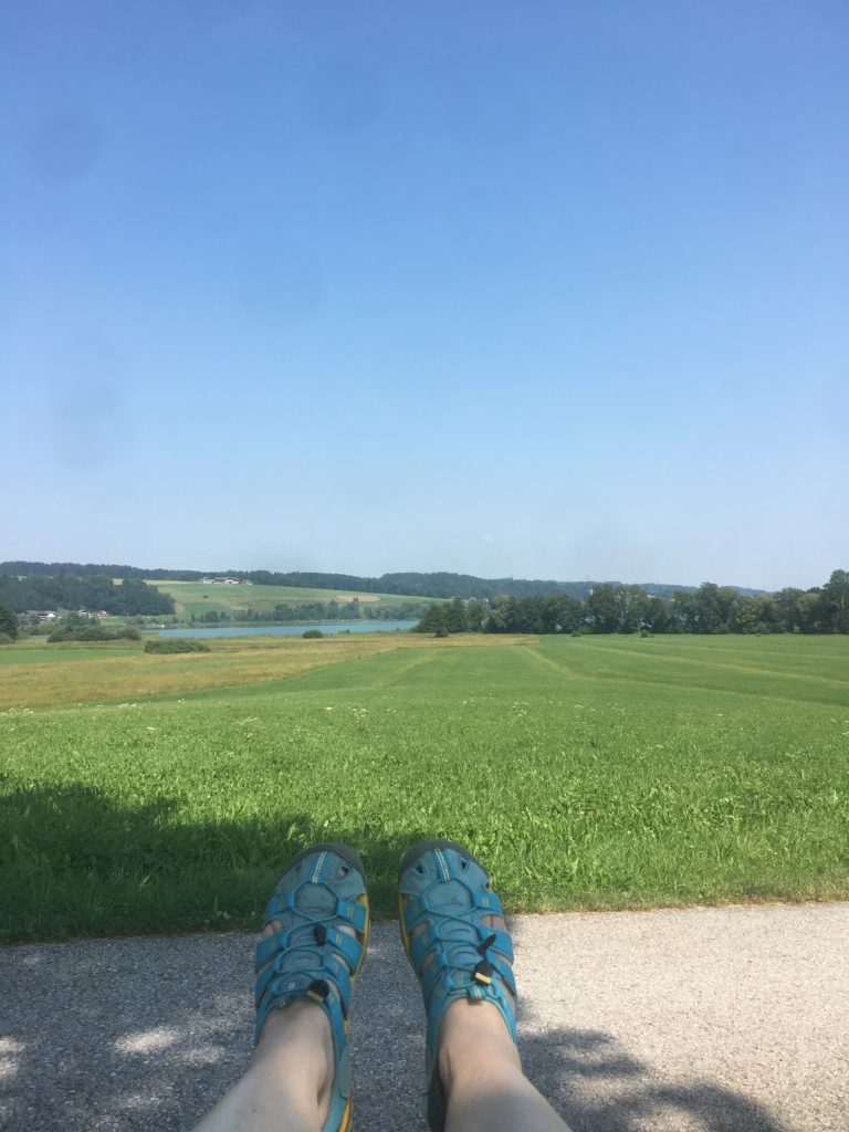 View over Obertrumersee