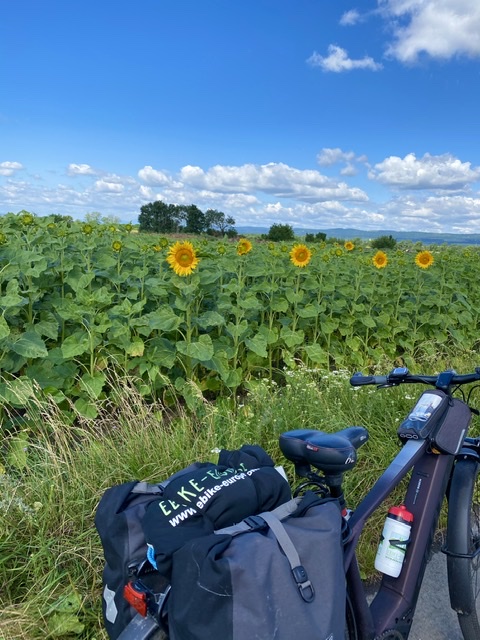 Oggau am Neusiedlersee