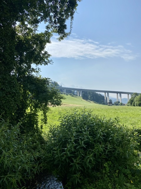 Wolfsberg