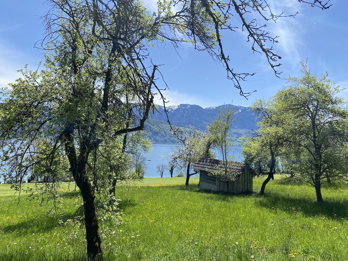 Attersee, Lake, Spring