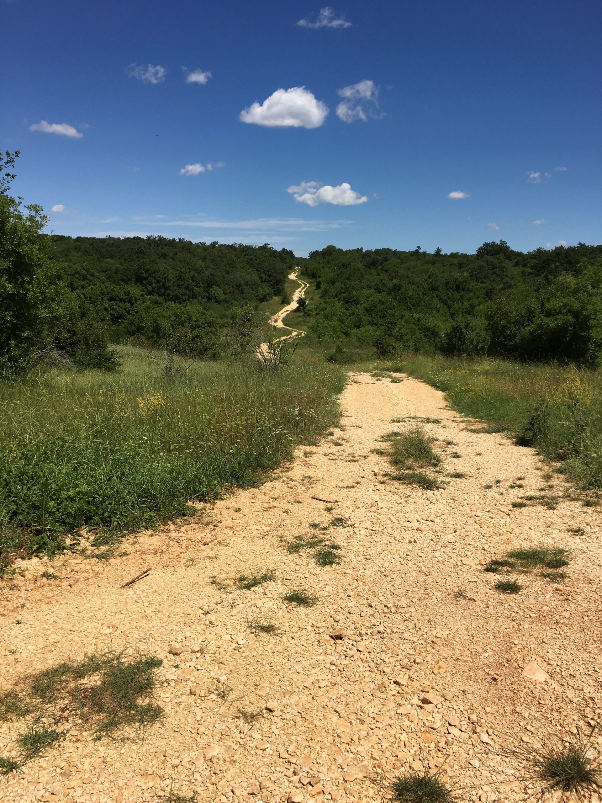 Track from Bale, Croatia