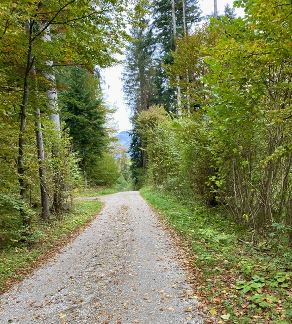 St Jo to Kossen