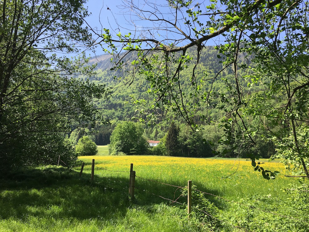 Marquartstein Runde