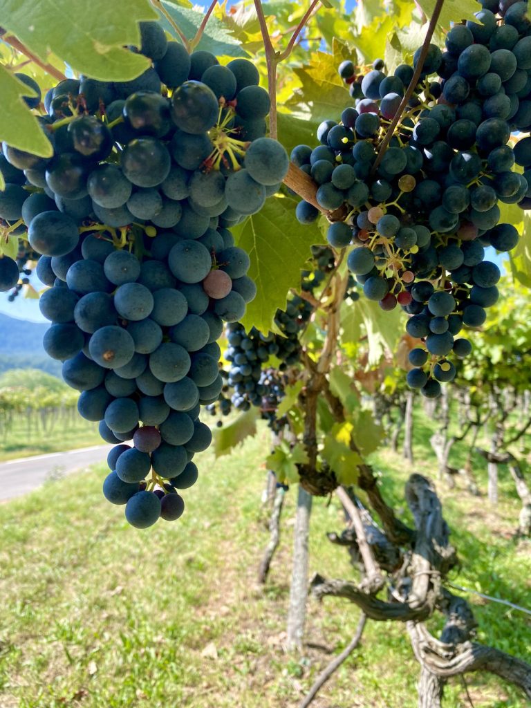 Kast Region, Slovenia