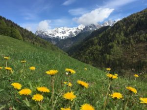 Blick an Loferer Steinberge