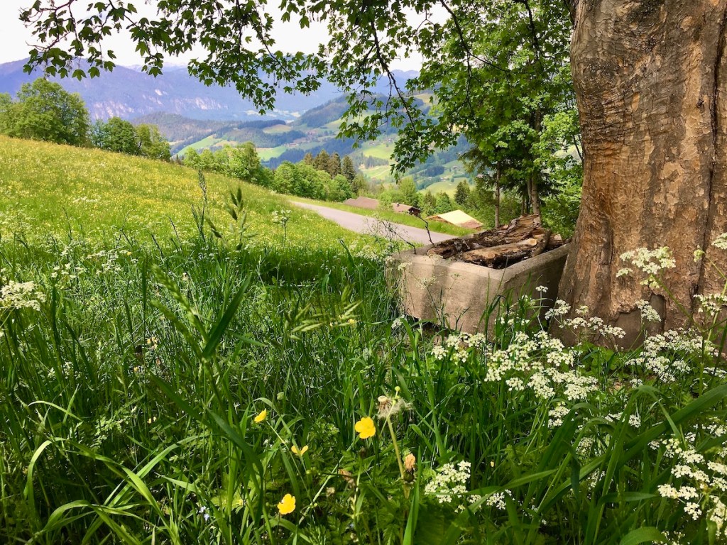 Alpbachtal