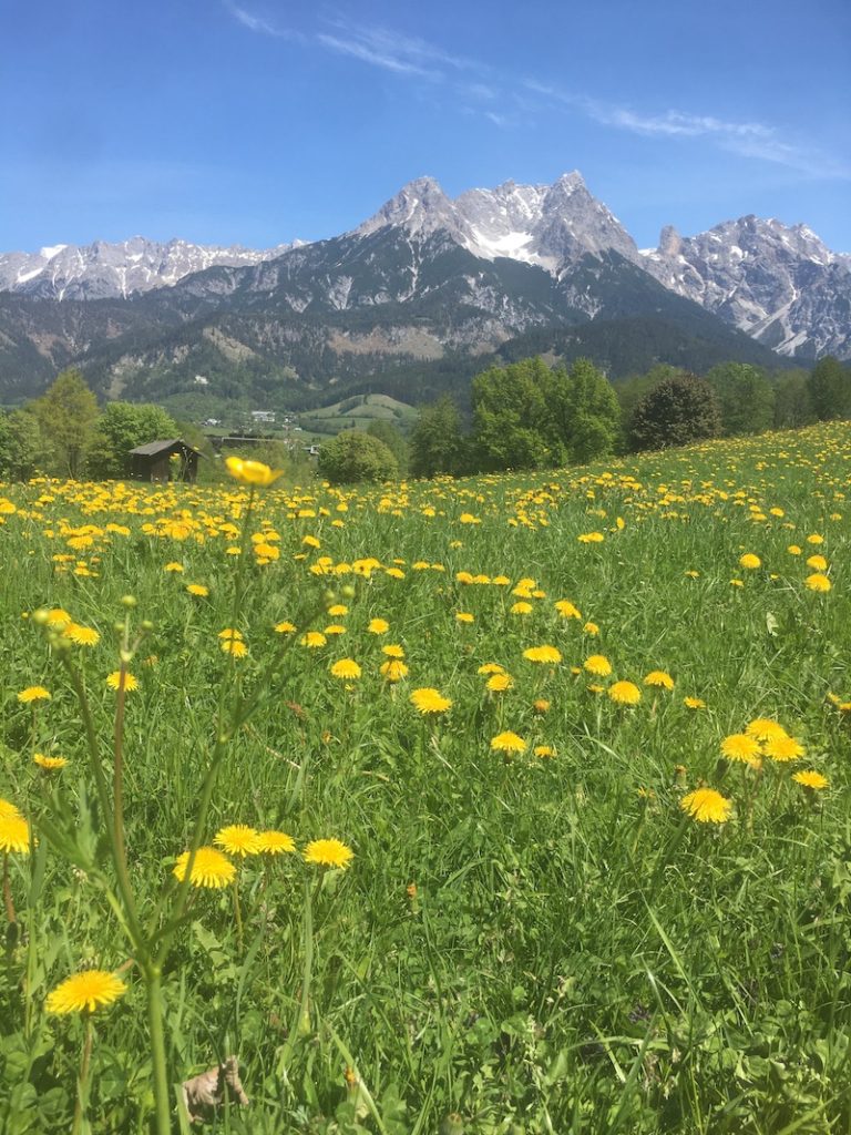 Steinernen Meer
